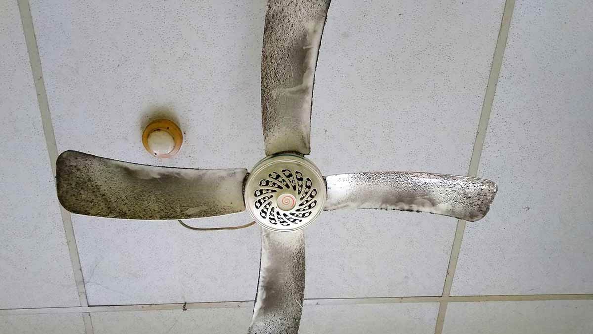 diy cleaning ceiling fan