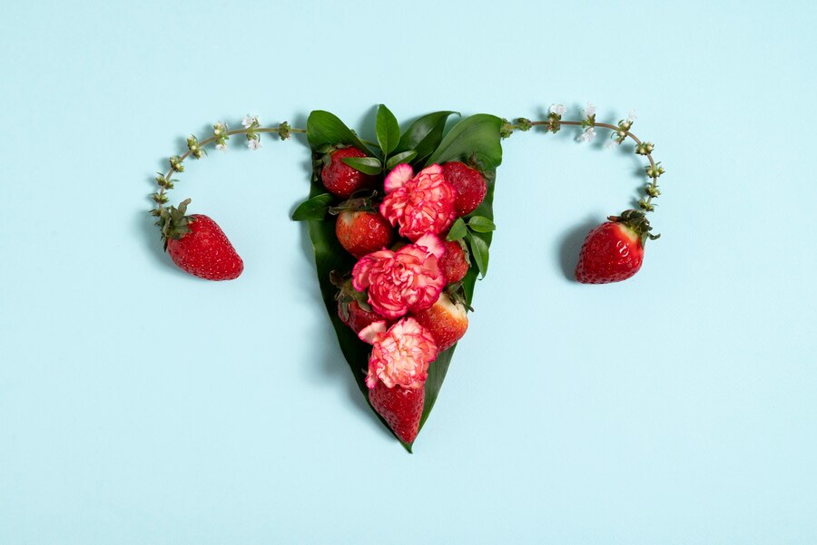 flat lay reproductive system with strawberries   ()