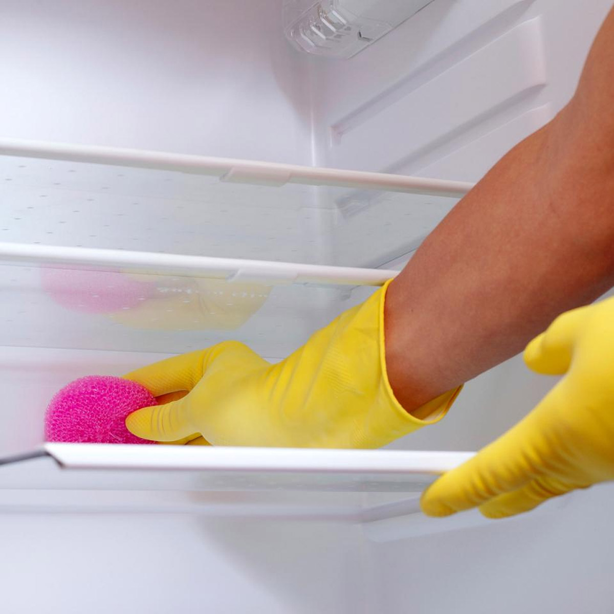fridge tray cleaning tips