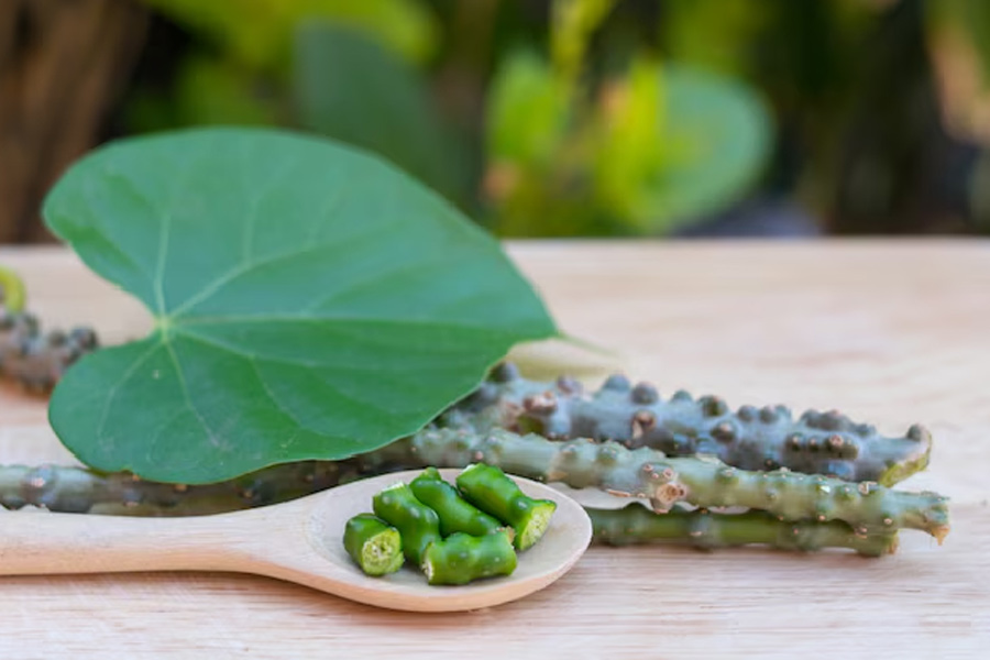 giloy drink for health