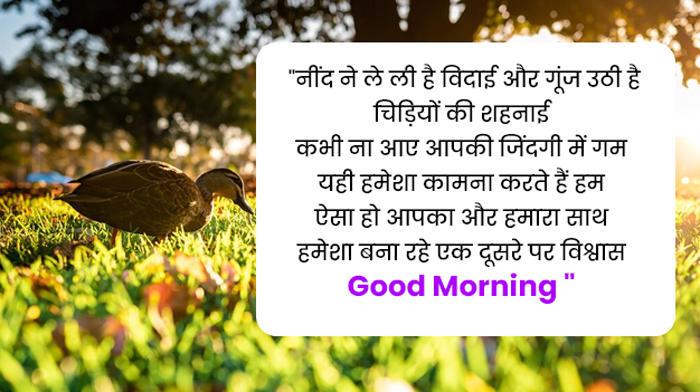 good morning msg
