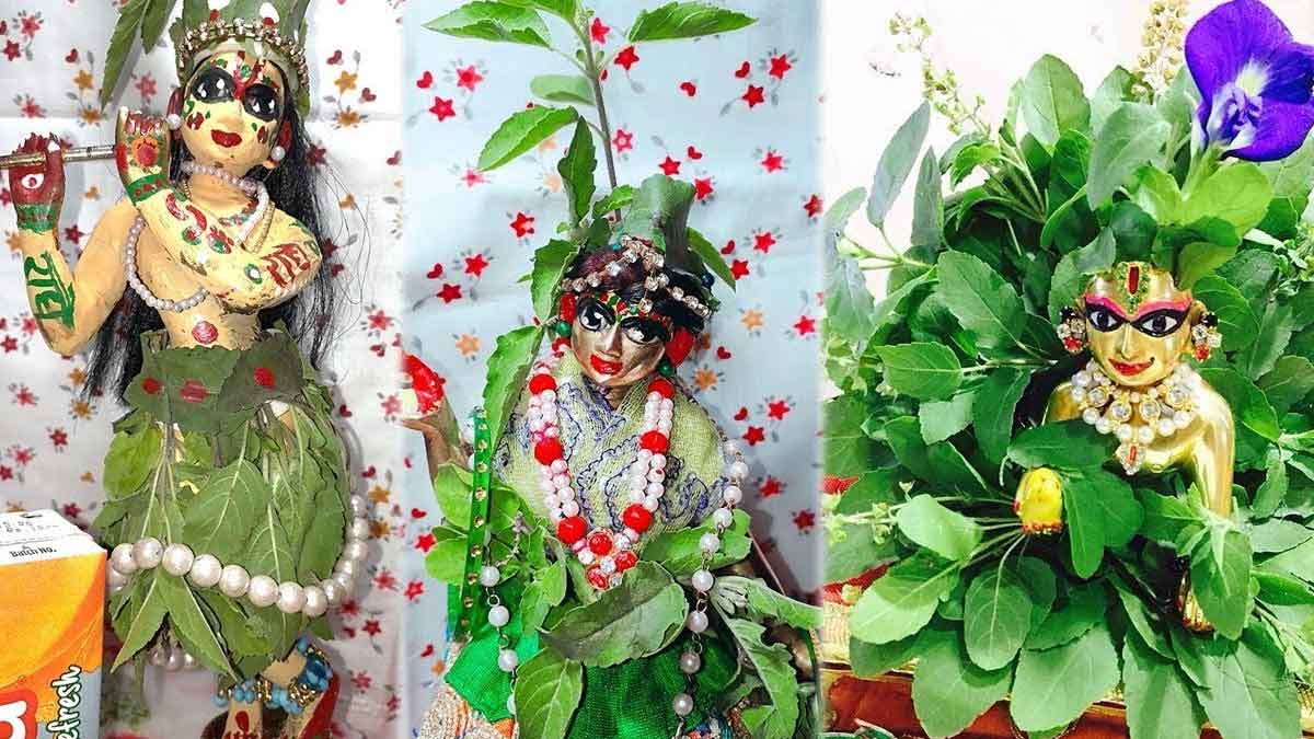 Laddu Gopal Bhog in Summer