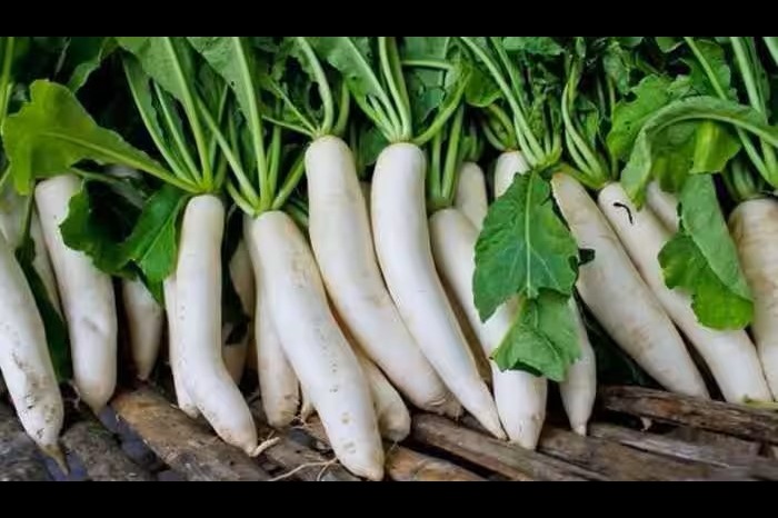 hydrating vegetables help lose kilos in summer 