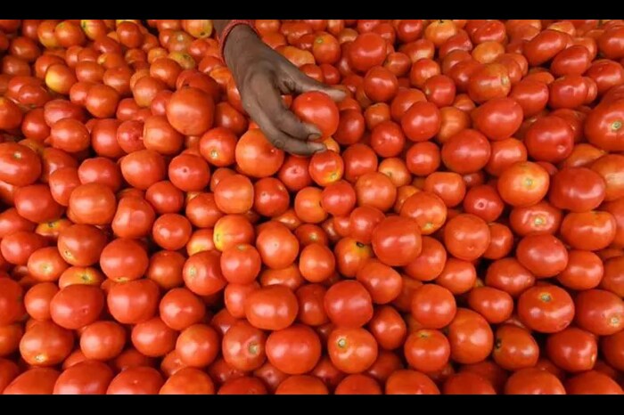 hydrating vegetables help lose kilos in summer 