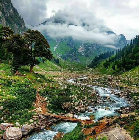 jibhi travel guide visit