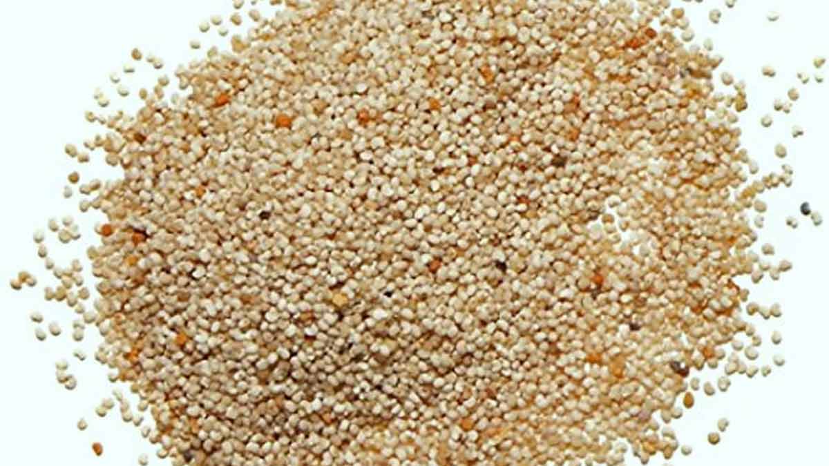 khus khus aka poppy seeds for calcium