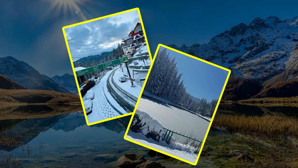 know day summer trip to narkanda from delhi