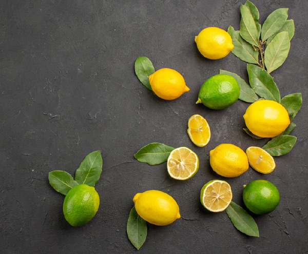 lemon plant in bottle