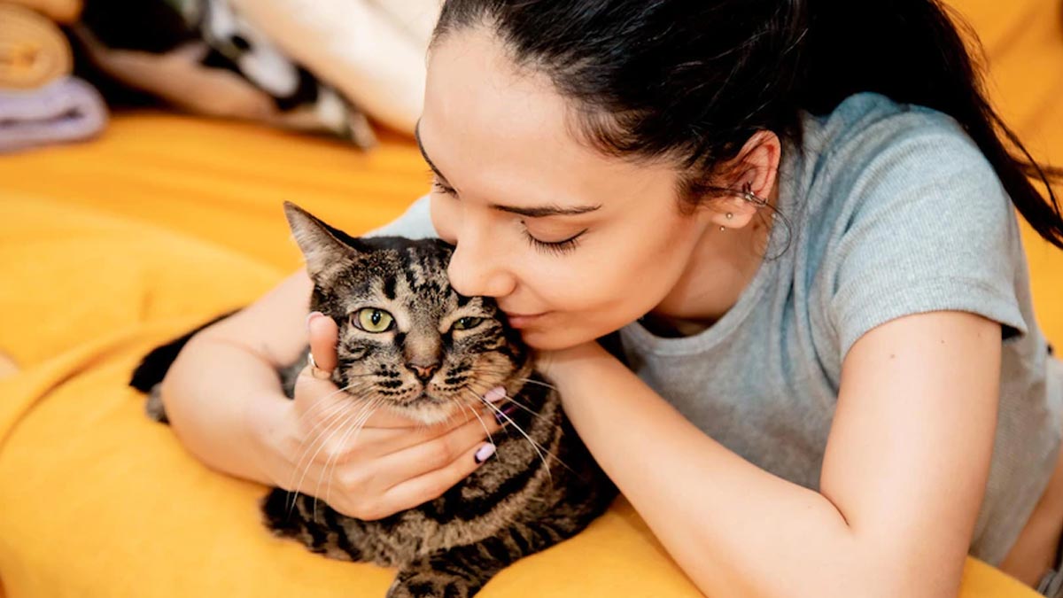 lucky animals at home for money