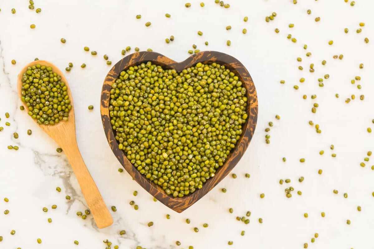 protein rich diet for malaria pateitns