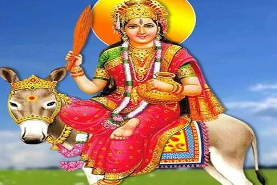 significance of worshipping neem tree