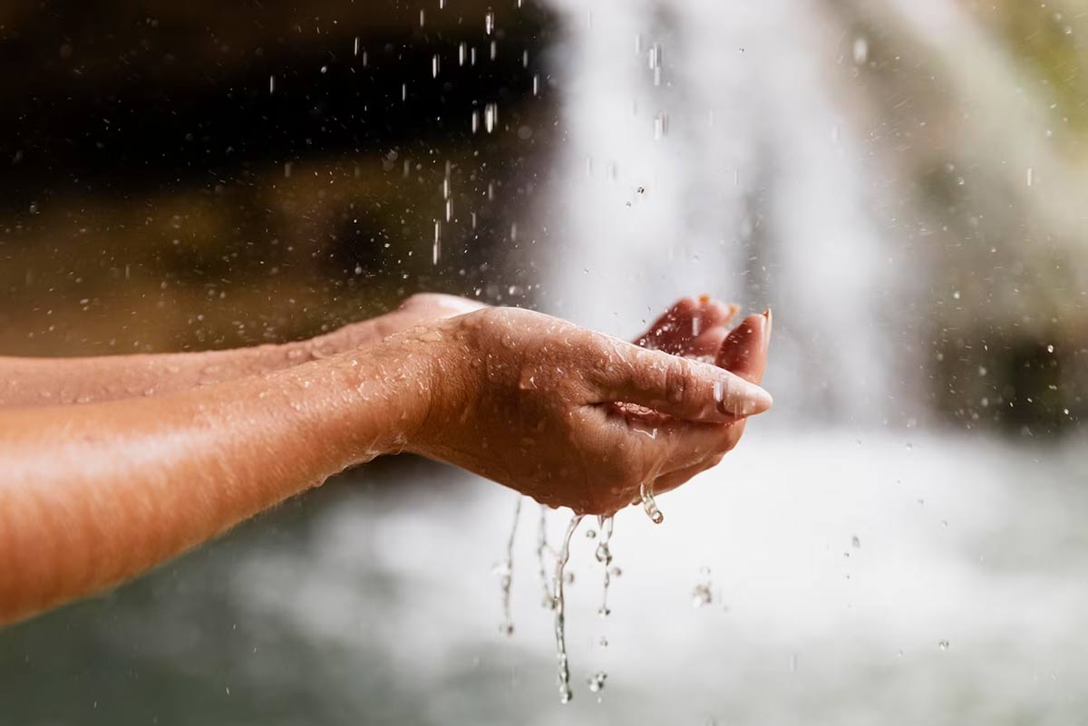 sprinkle water of camphor at main door