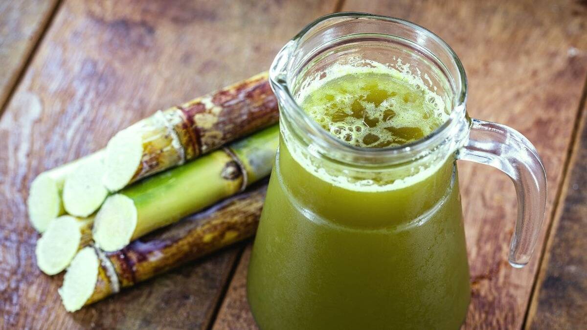 Sugarcane Juice Benefits sugarcane juice benefits in summer HerZindagi Tamil
