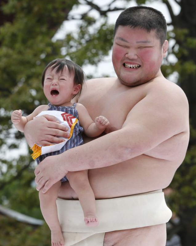 sumo festival