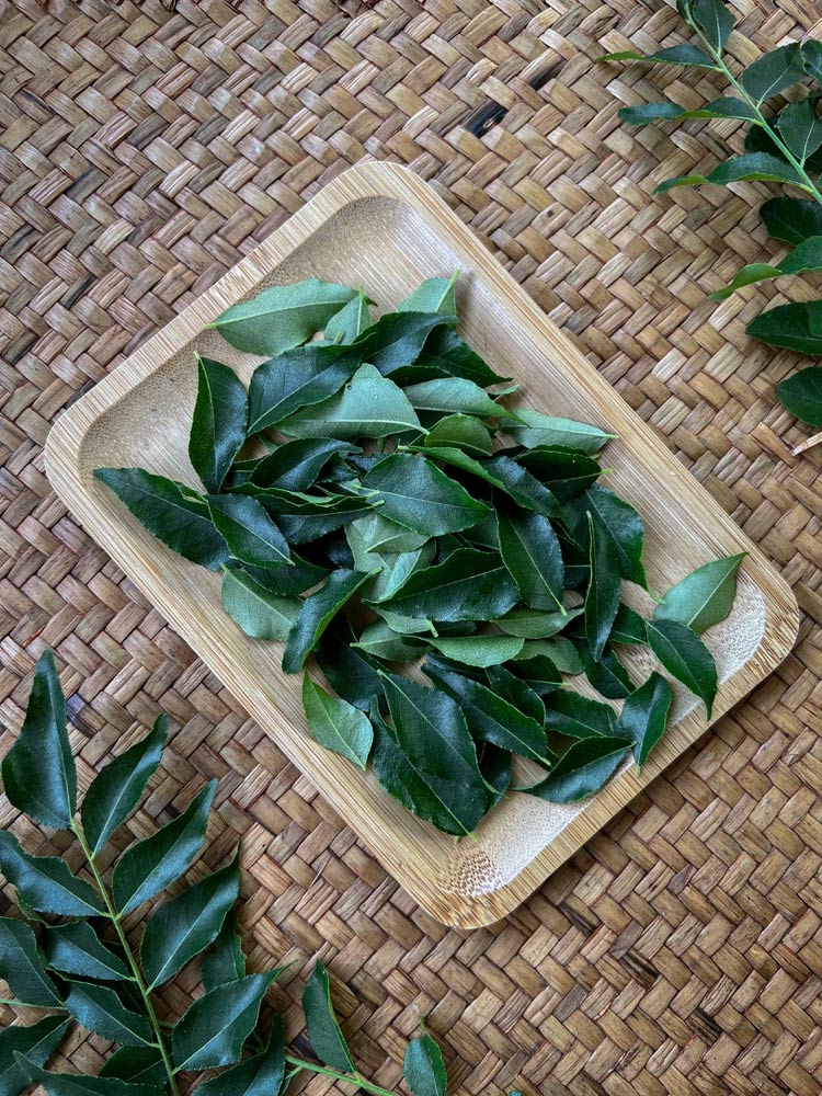 Bottle Gardening 101: Master the Art of Growing Curry Leaves In A ...