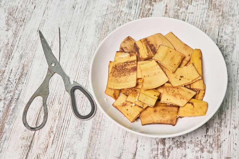 Banana Peels Fertiliser