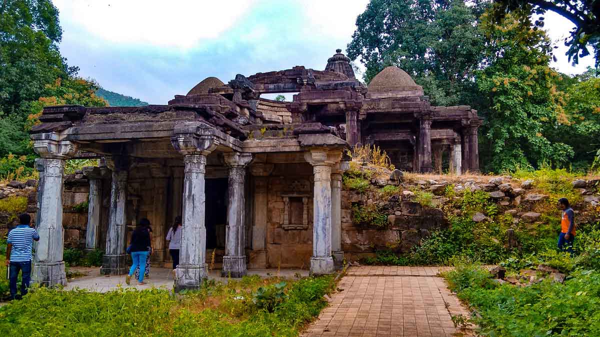 Best Places to visit in Polo Forest