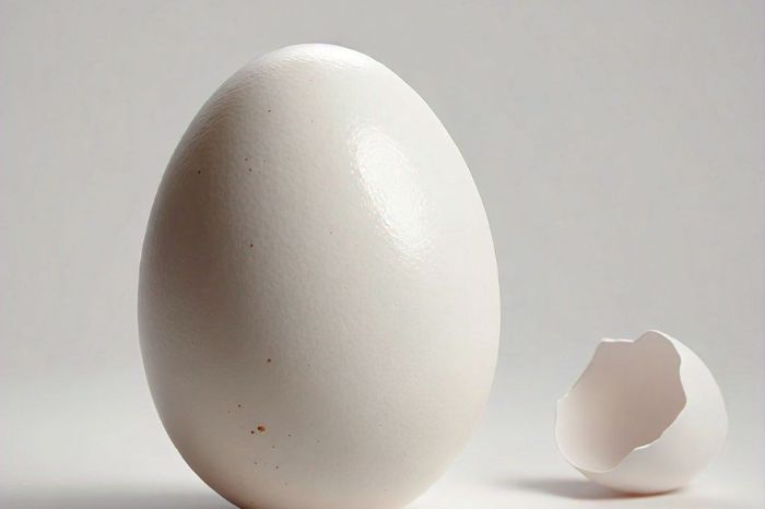 Dont be hungry to lose weight include these  foods in your diet 