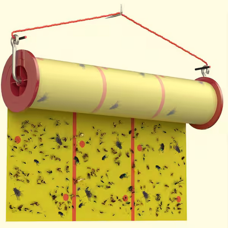Easy Ways To Get Rid of Houseflies At Home | Herzindagi