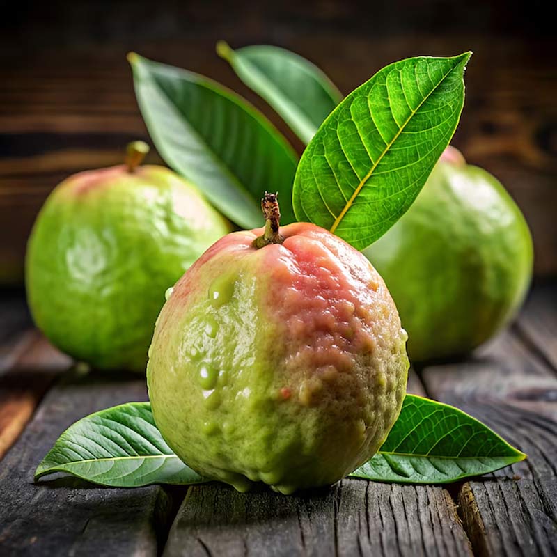 Fresh guava purchase monsoon