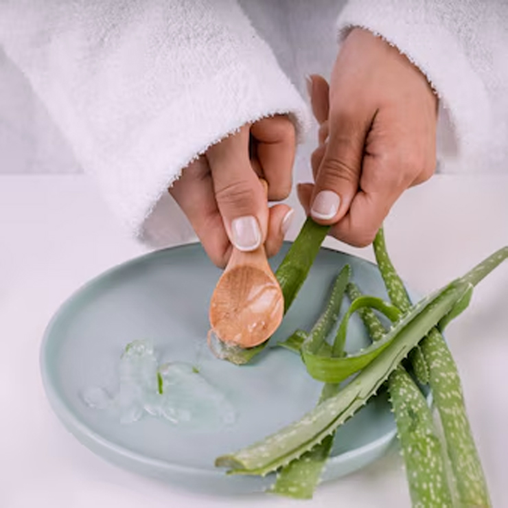 How To Use Aloe Vera Gel On Your Hair