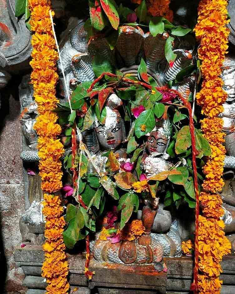Nag panchami special mandir