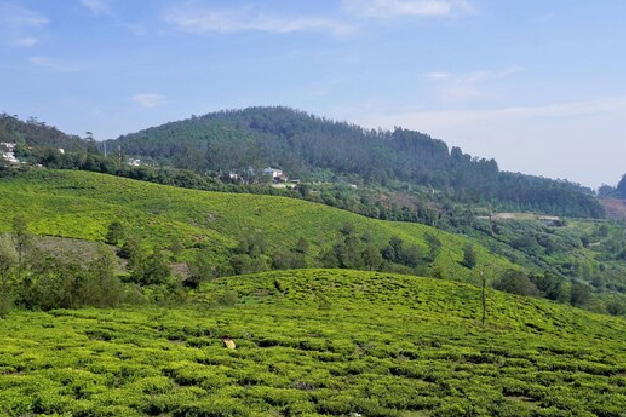 Ooty