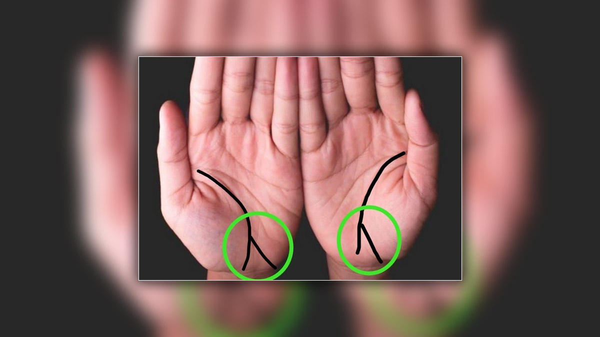 क्या आपकी भी हथेली पर बनती है दोमुखी रेखाएं, बेहद खास होते हैं ऐसे लोग |  significance of two face lines in hand | HerZindagi
