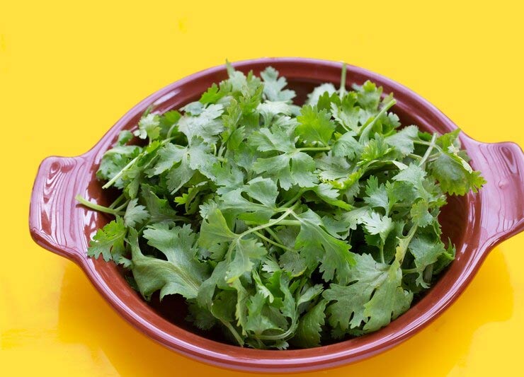 Store In A Container