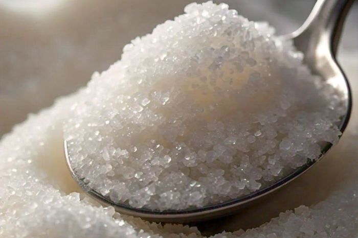 These Five Foods Will Raise Bad Cholesterol % Faster Be Careful 