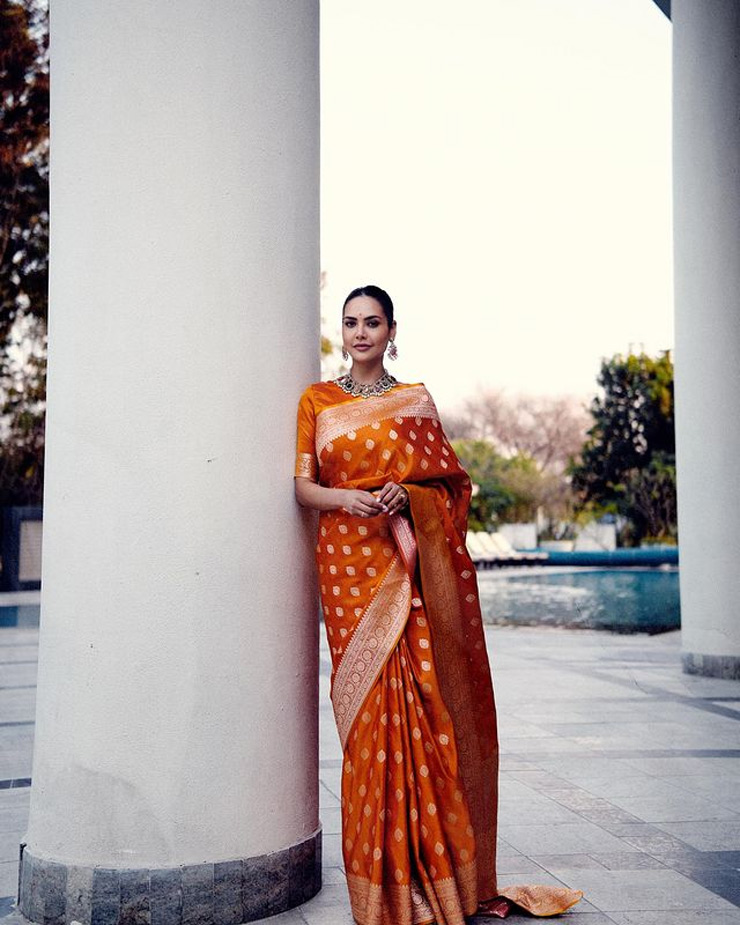 Traditional Saree Look
