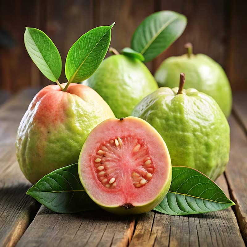 Where to buy guava rainy season