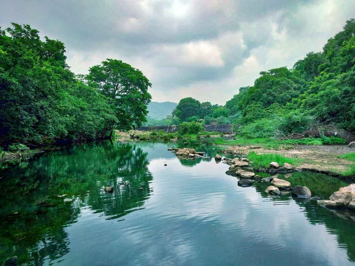 Why Polo Forest is so Famous