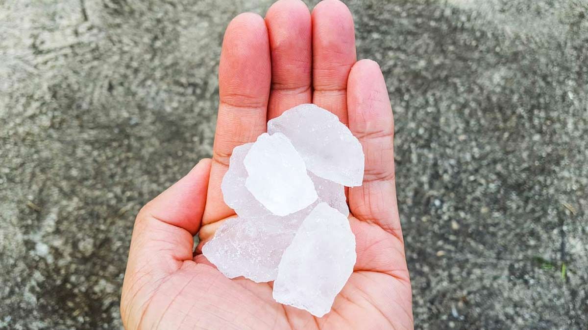 benefits of keeping alum in locker