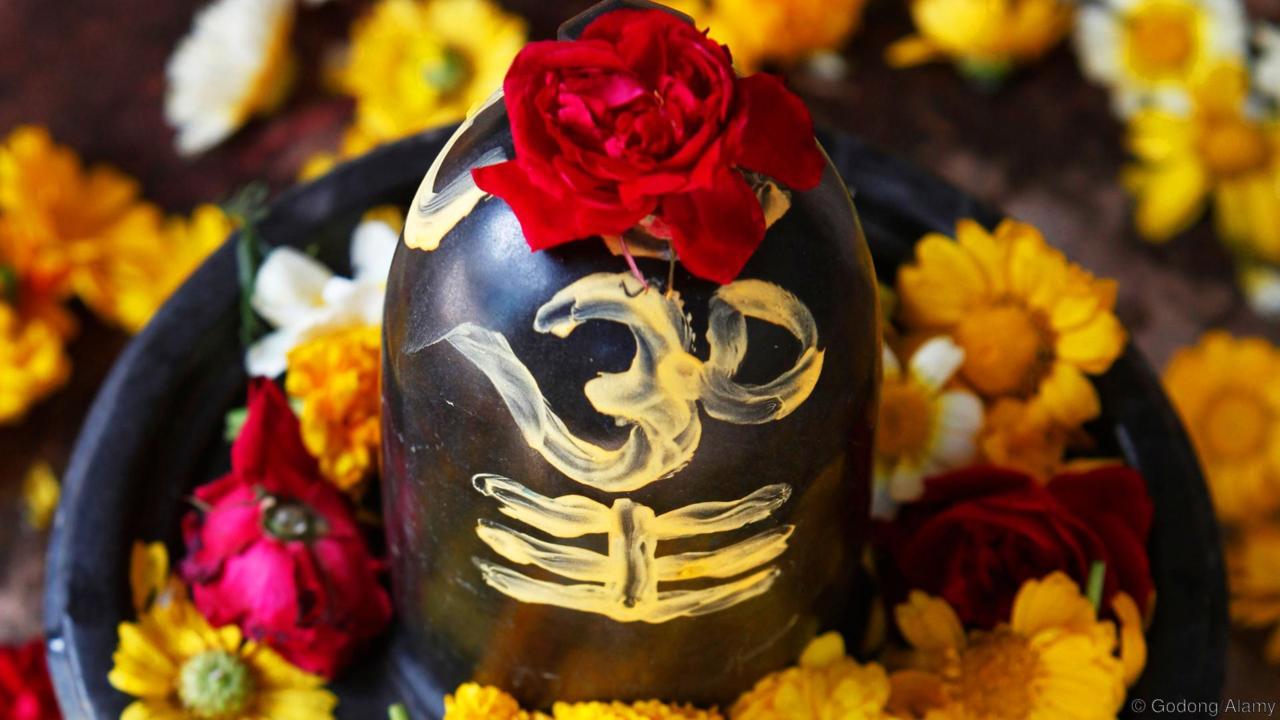 bhadrapad pradosh vrat  pr bhagwan shiv ko kaun se phool chadhane chahiye