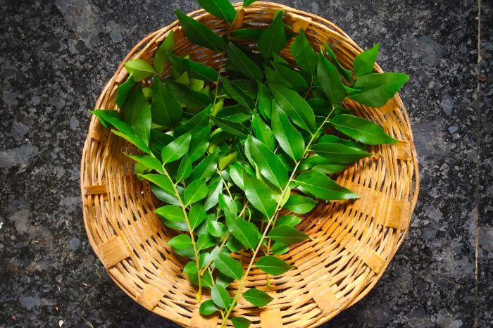 curry leaf new inside