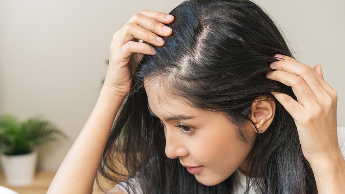 झड़ते बालों ने किया है परेशान, पानी में मिलाकर पिएं ये 3 चीजें | curry  leaves methi seeds and amla powder to reduce hair fall | HerZindagi