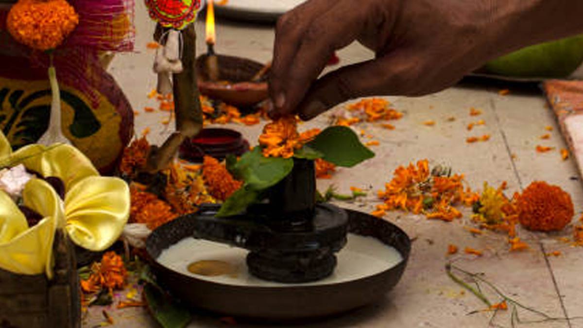 february pradosh vrat  ki date