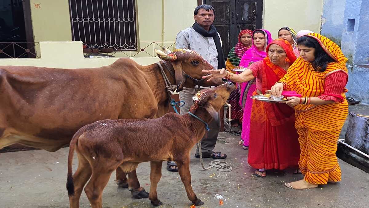 கோகுலாஷ்டமி நாளில் பசுவுக்கு உணவு வழங்கி செல்வ செழிப்புடன் வாழ்ந்திடுங்கள்!