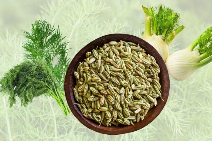 fennel inside