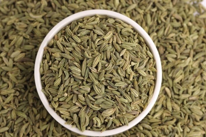 fennel seed new inside