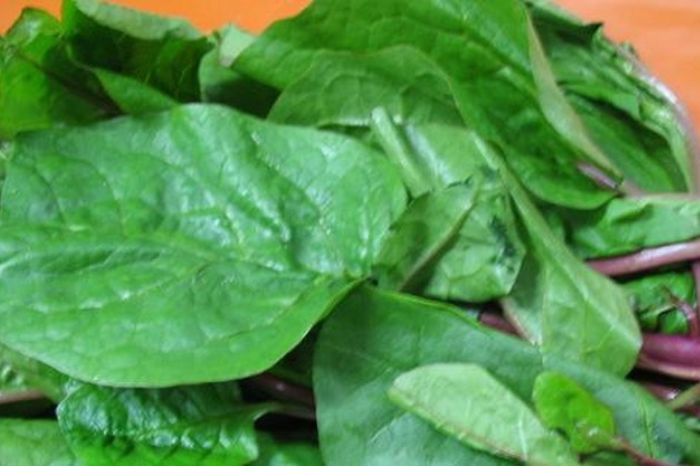 home remedies to increase platelet count in dengue and fast recovery 