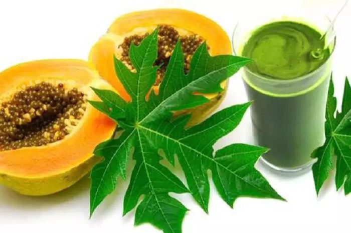 home remedies to increase platelet count in dengue and fast recovery 