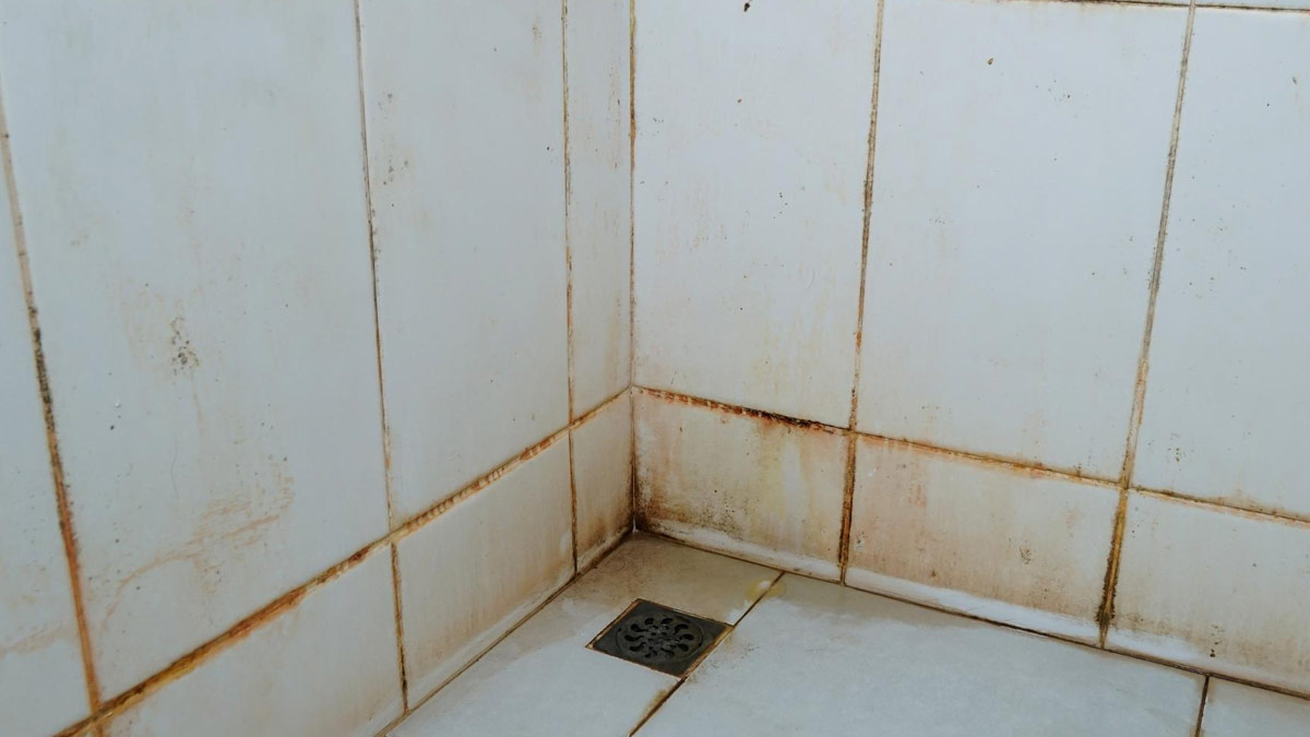 how to clean bathroom tiles in home