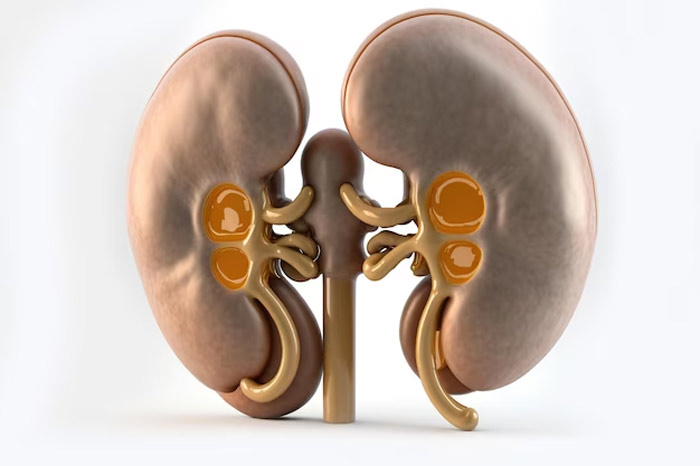 kidney fail