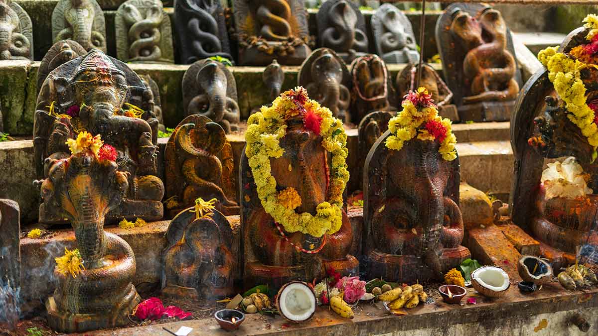 નાગ પંચમી કેમ મનાવવામાં આવે છે? | નાગની પૂજાનું વિશેષ મહત્વ | નાગ પાંચમની રોચક ધાર્મિક કથાઓ | Nag Panchami importance, Puja Vidhi, Niyan, Vrat
