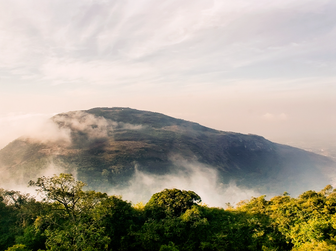 nandi hills new