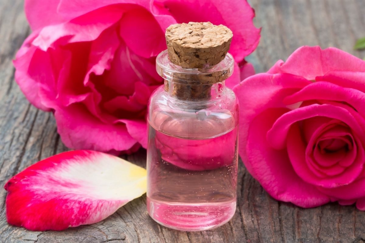 rose water for skin care
