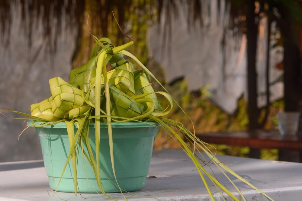 लंच बॉक्स हो गया है पुराना, तो गार्डन में ऐसे करें रियूज | how to reuse