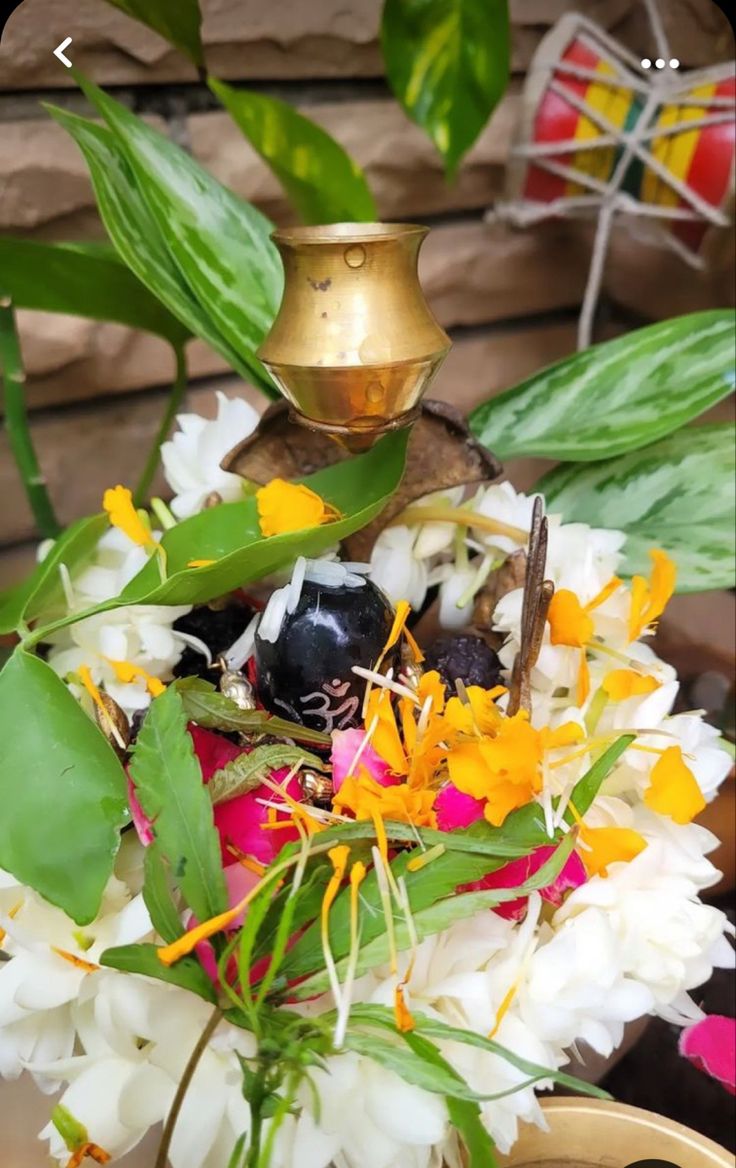 what we should not offer to lord shiva on bhadrapada pradosh vrat 